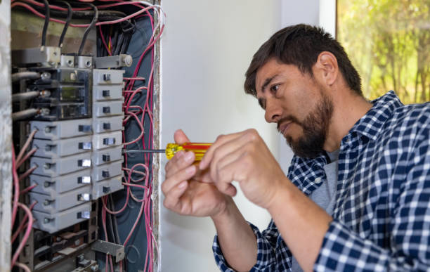 Best Electrical Upgrades for Homes  in Belding, MI